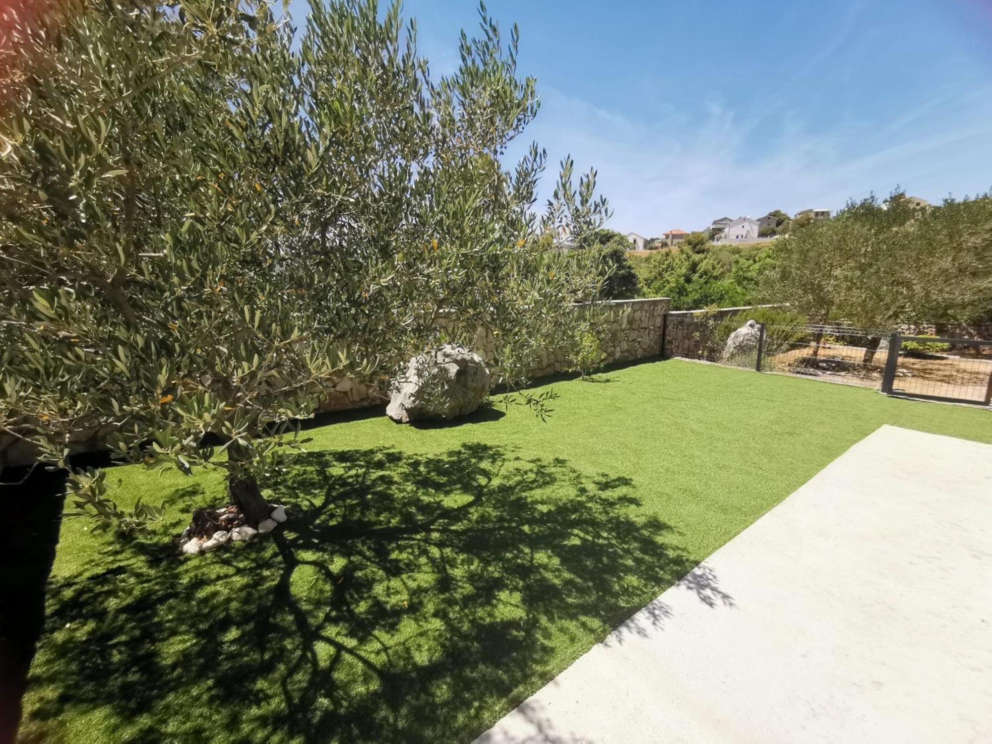 Olive Tree Apartment Zecevo ロゴズニッツァ エクステリア 写真