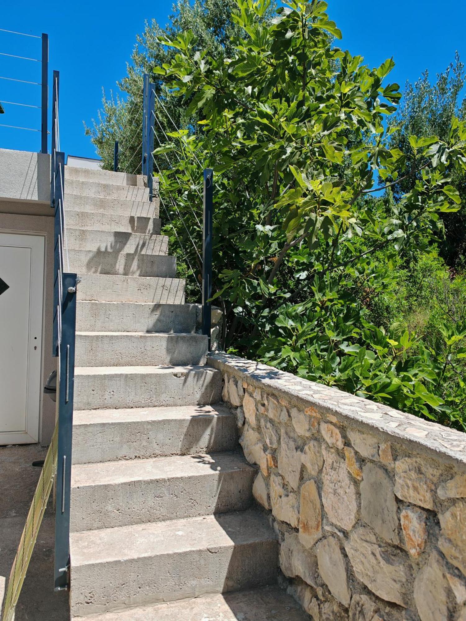Olive Tree Apartment Zecevo ロゴズニッツァ エクステリア 写真